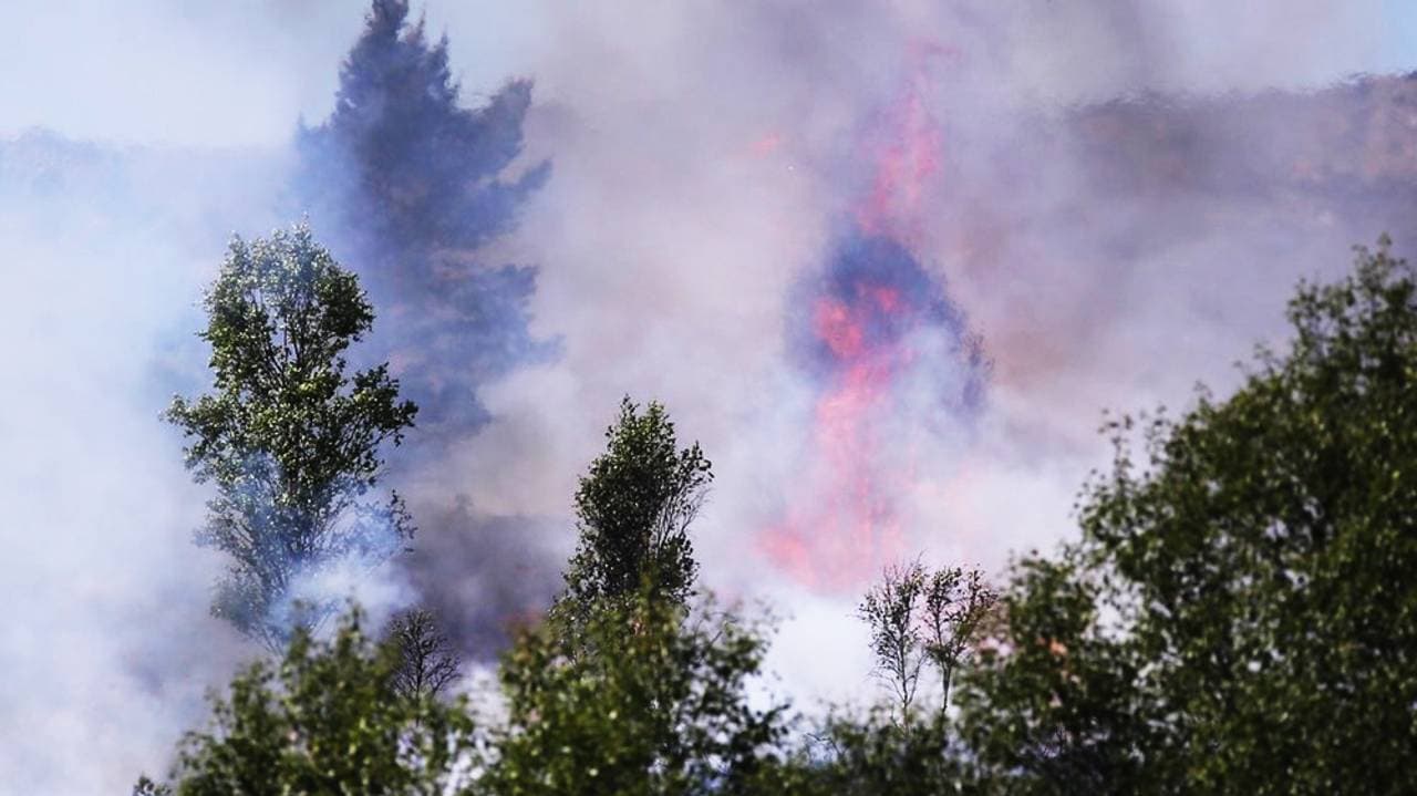 Bilde av gressbrann i Øygarden, trær i forgrunnen, røyk og flammer i bakgrunnen.