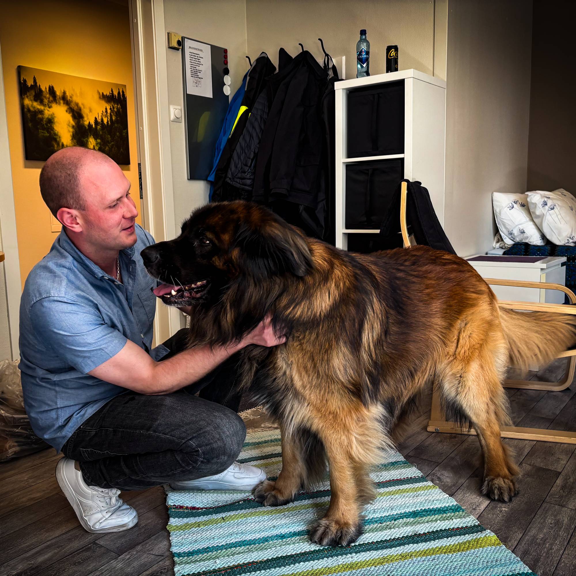 en mann og en hund (Bildebeskrivelsen er laget av en KI-tjeneste)
