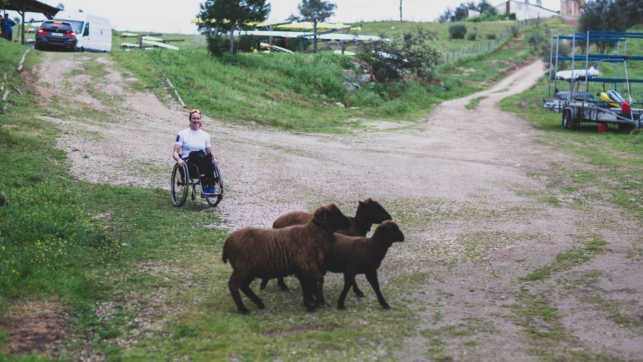 Birgit Skarstein