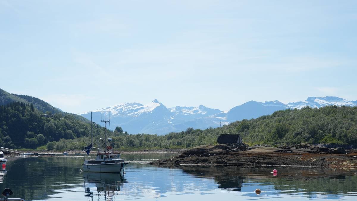 Kai kan kollapse – vurderer å stenge