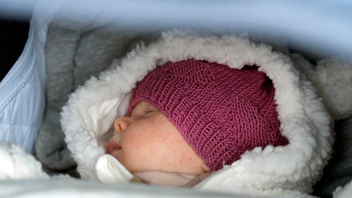 Dansk sædbank sier nei til menn med IQ under 85