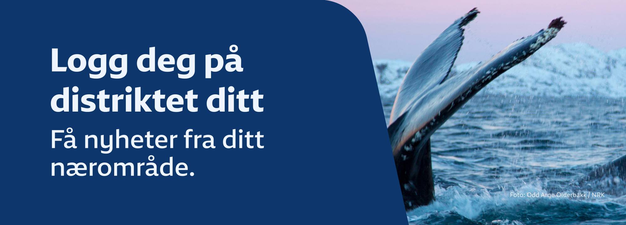 Trollstigen: dette må du vite — image 6