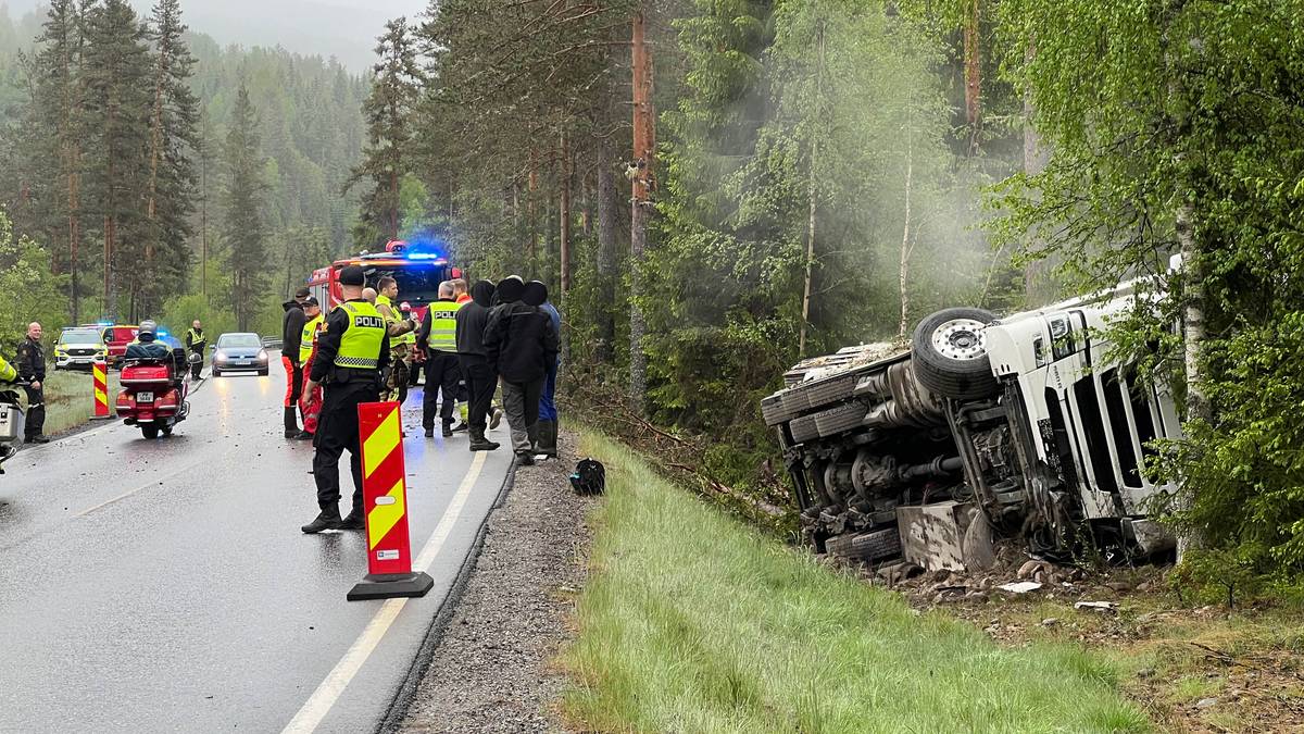 Lastebil med 28 kyr veltet: Ett dyr er avlivet