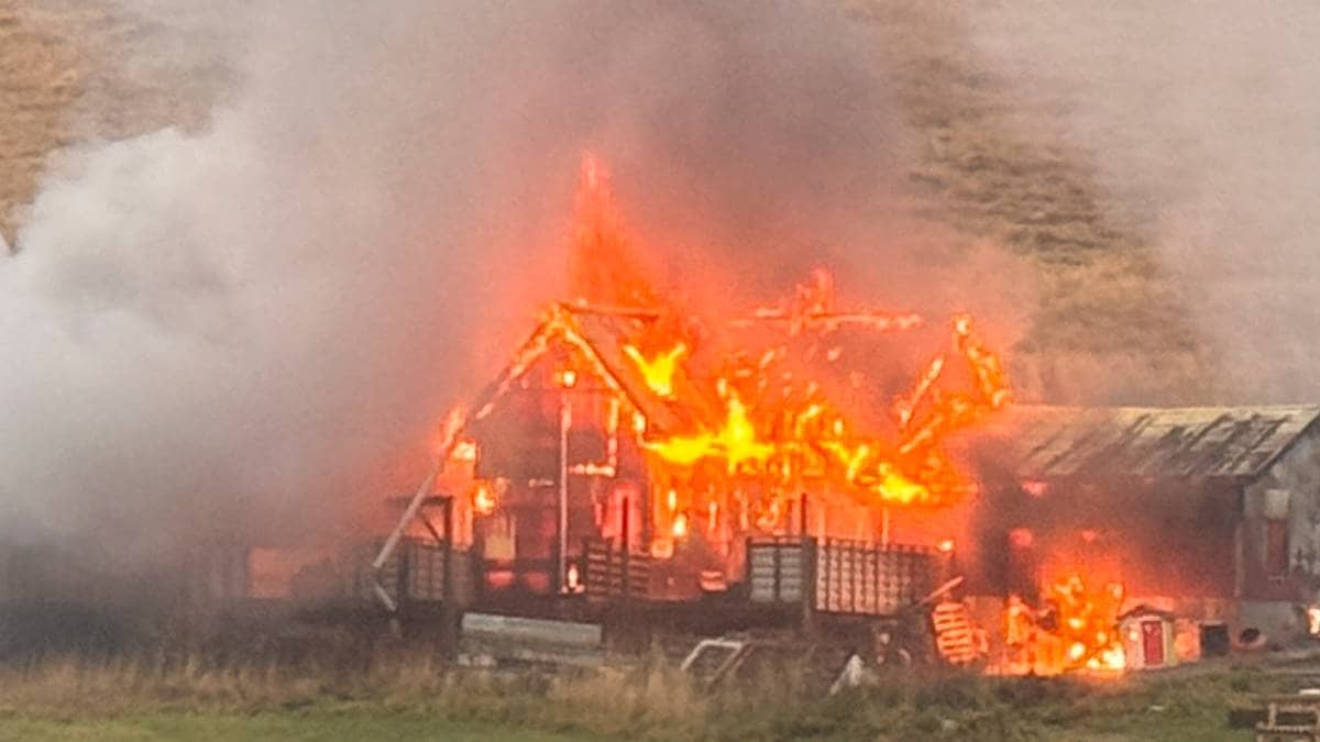 Fjøsbrann i Vestvågøy – fare for spredning