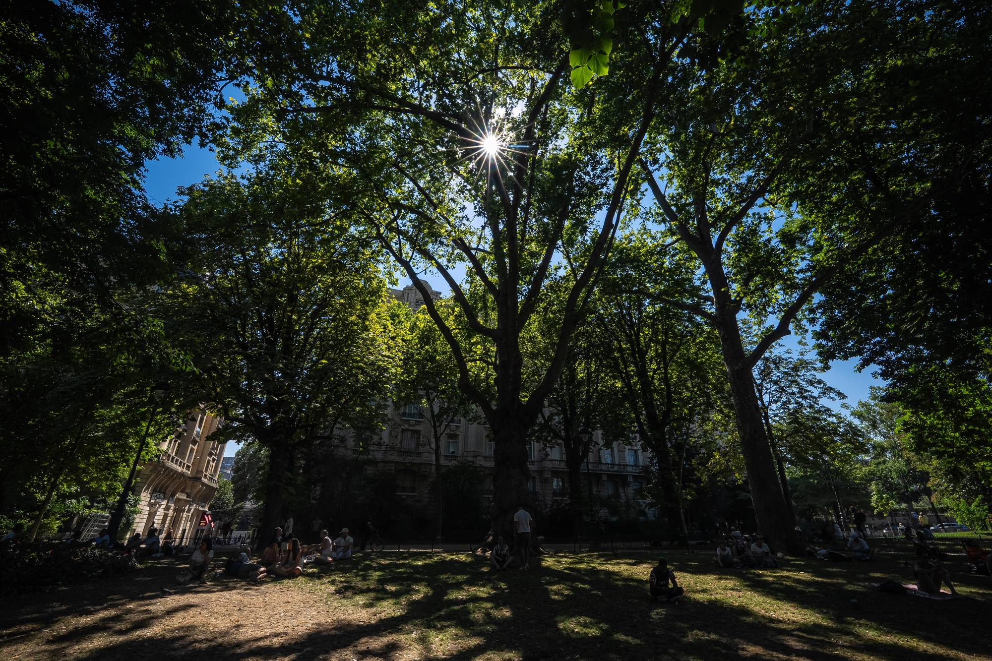 Folk sitter i skyggen under store trær i en park en solfylt dag. (Bildebeskrivelsen er laget av en KI-tjeneste)
