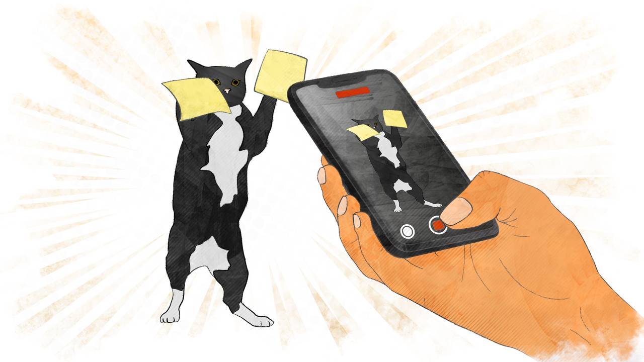 Illustrasjon av en katt med post-it lapper på frempotene, den ser redd ut. Noen filmer katten med en mobiltelefon. 