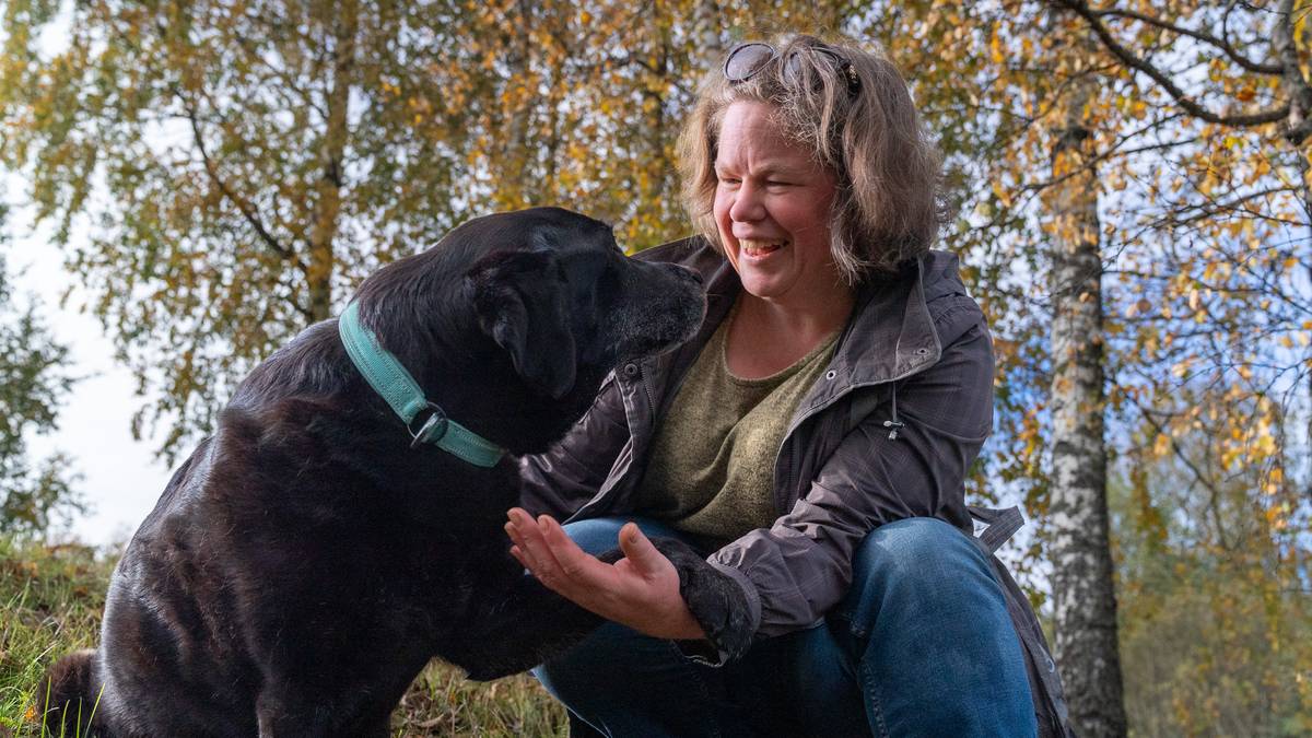 Venter eldrebølge blant hunder: Slik kan din firbente bli en lykkelig pensjonist