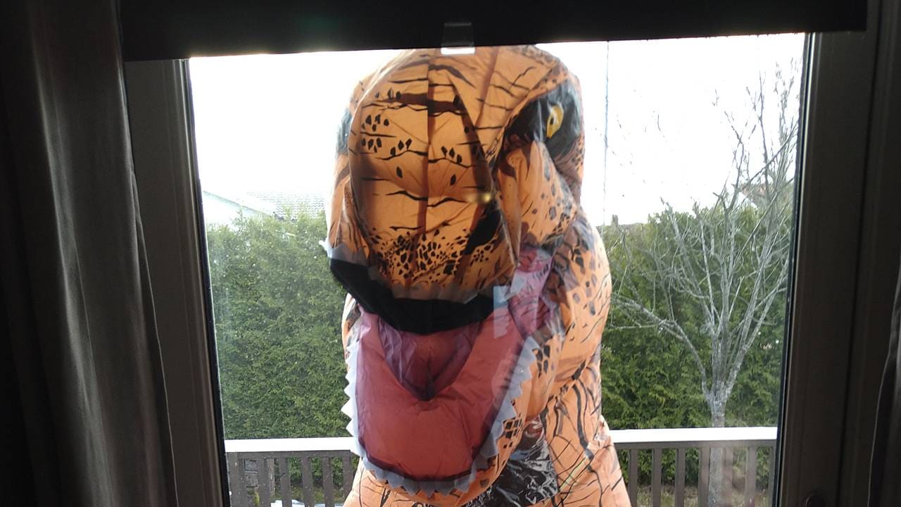 Venninnen til Janina Svandal kom på besøk utkledd som en dinosaur