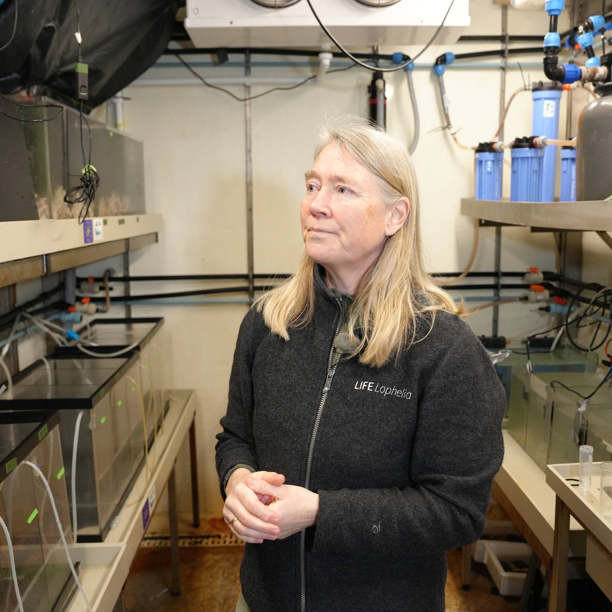Forsker Ann Larsson ved Tjärnö marina laboratorium 