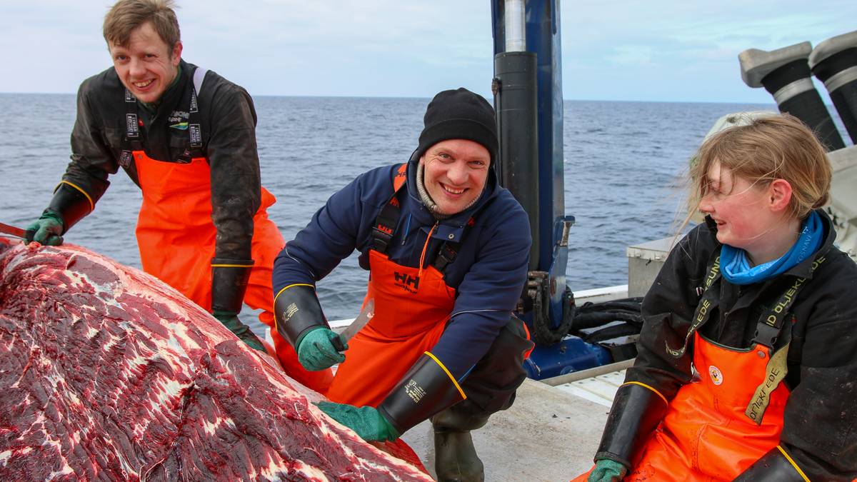 Hvalkamp: Høyre-topp vil skyte mer og markedsføre hval i utlandet