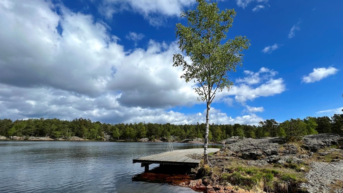 Baneheia-saken: – Et sår i sjelen til Kristiansand