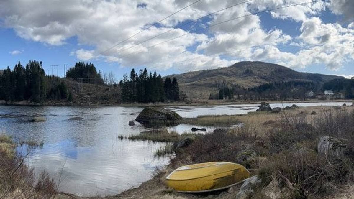 Skal bygge ny kraftledning