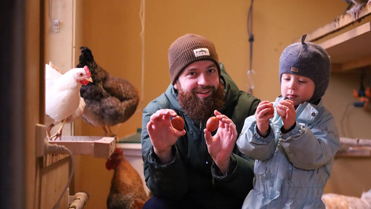 Spenninger øker behovet for bosetting i nord – men tilbudene kuttes