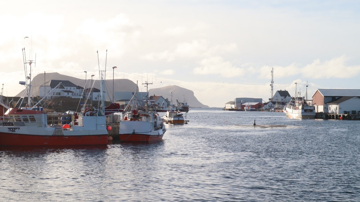 Fiskere kan miste fiskerpensjon