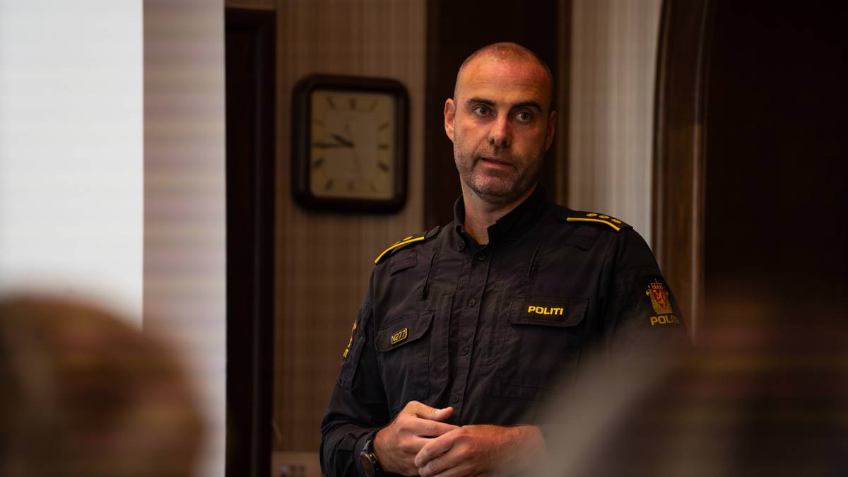 Ny pågripelse etter flere ran