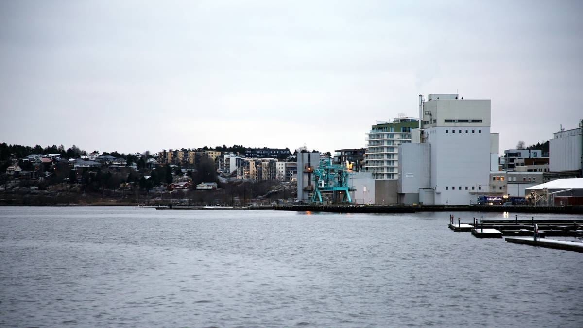 Frykter Moss kan bli utslettet: 300 torpedoer truer byen