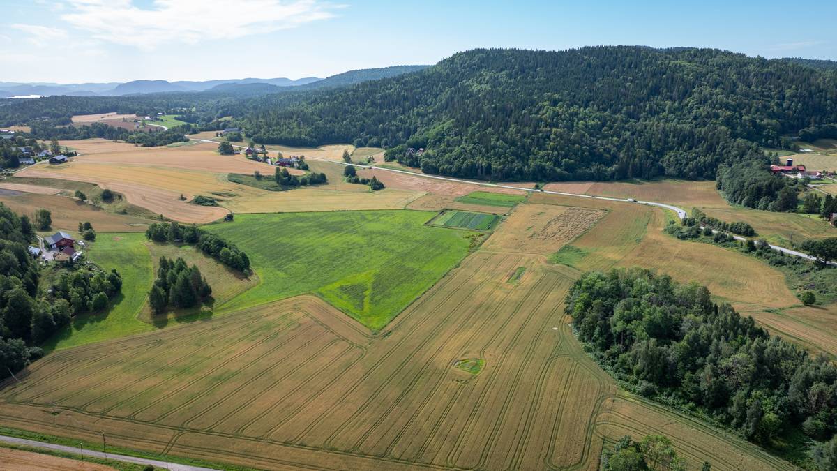 Ordfører opplevde press om Fensfeltet – statsråder avviser overkjøring