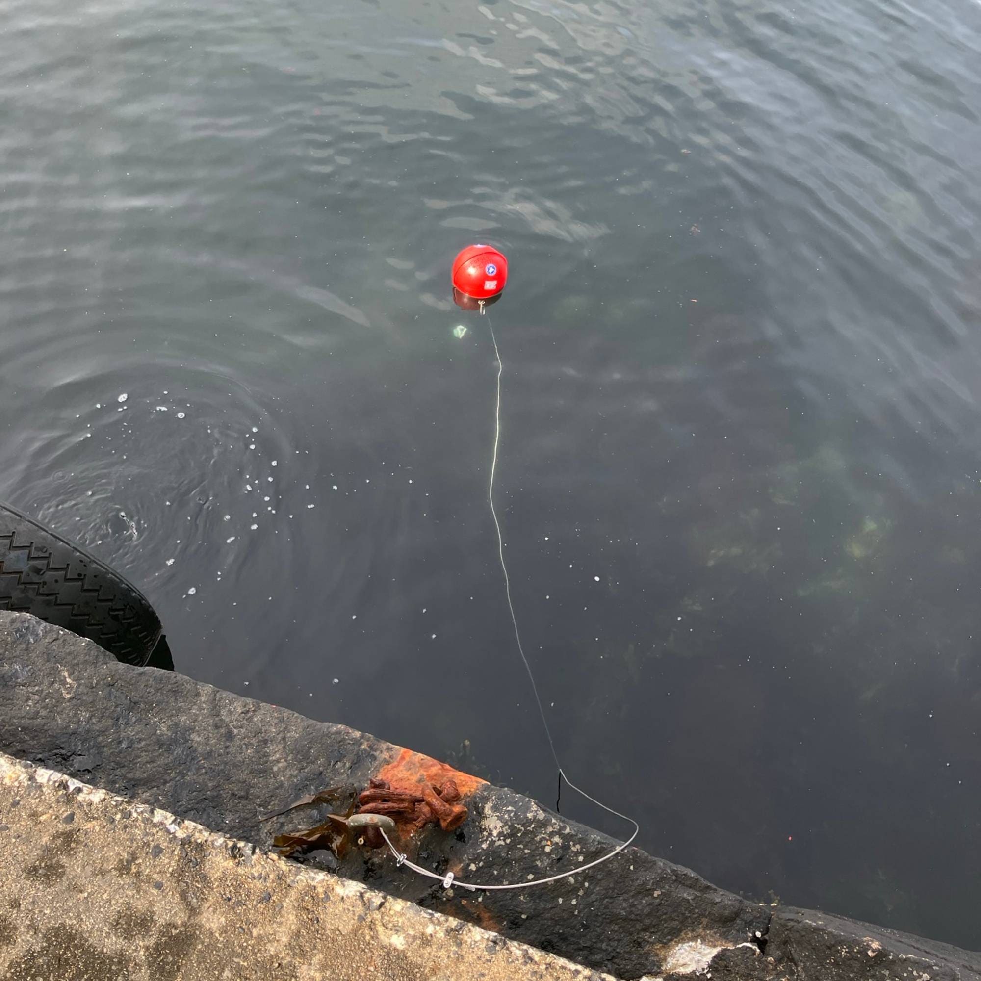 En rød temperaturlogger i havet. Den måler temperaturen. 
