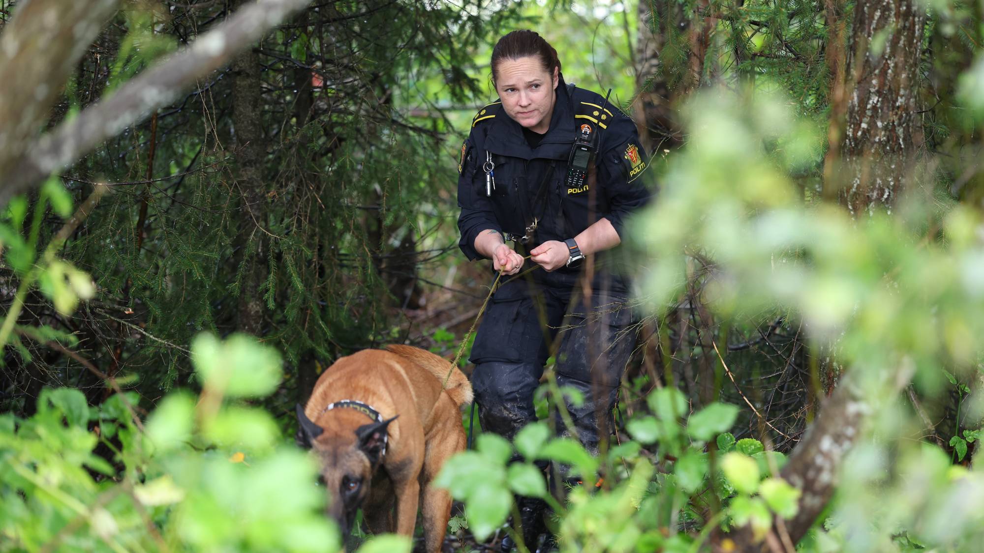 Politi med hund