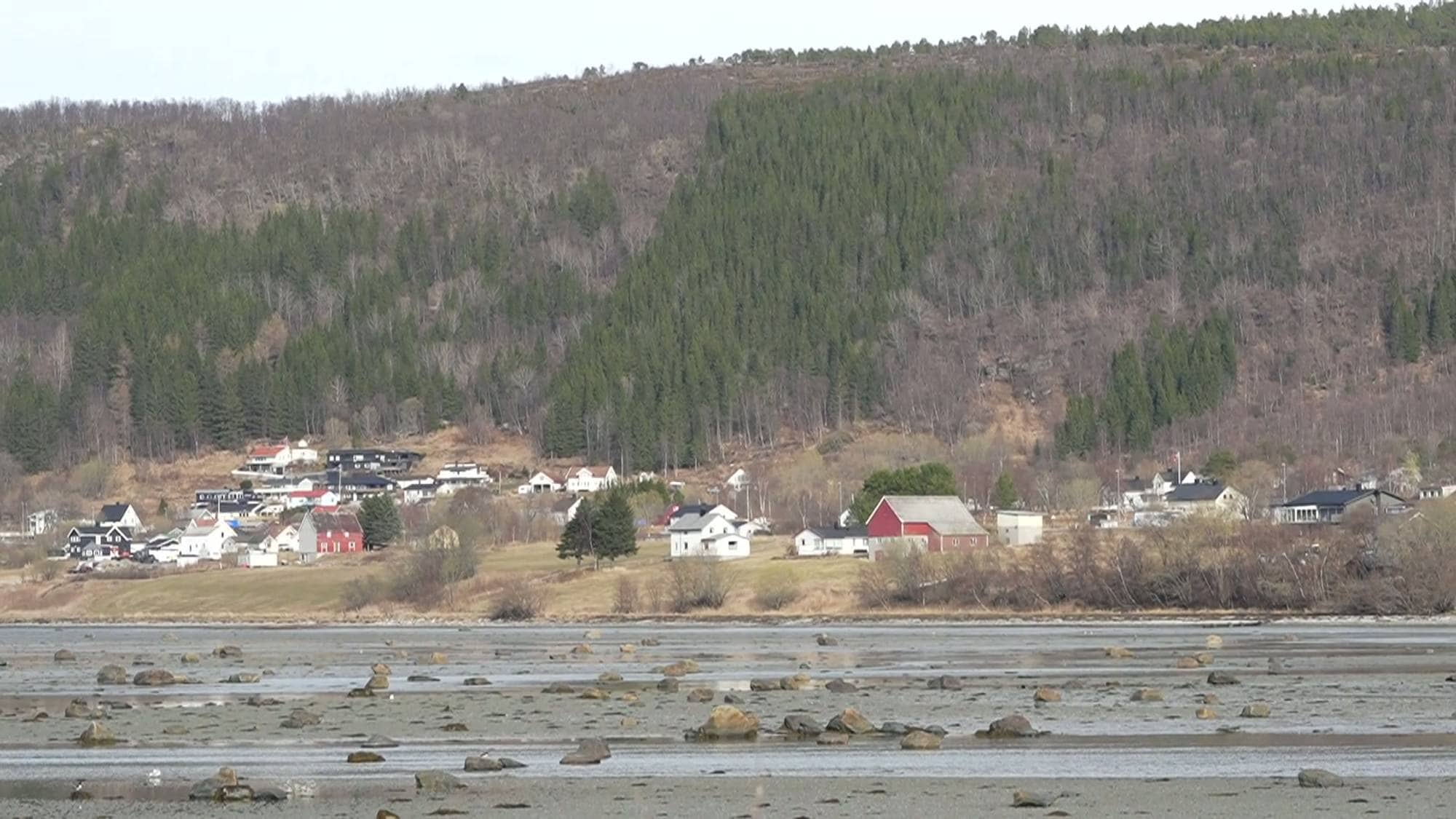 Bygda Håkvik med hvite og røde hus ligger ved en sjøen, en drøy mil sør for byen Narvik. Bak landsbyen stiger en skogkledd ås. Stranden foran er dekket av steiner og tang.