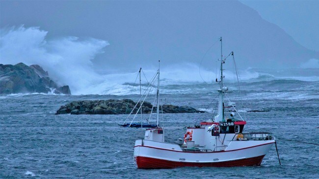 Lokkøya i Bø.