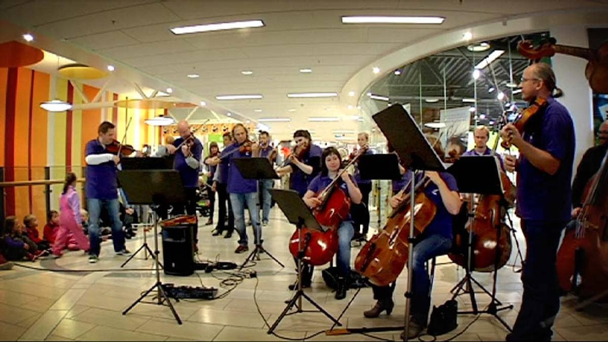 Plutselig dukker de opp der du er