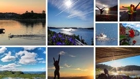 Yrbilder-plugg-sommarbilder2017 - Foto: https://www.yr.no/bilder/