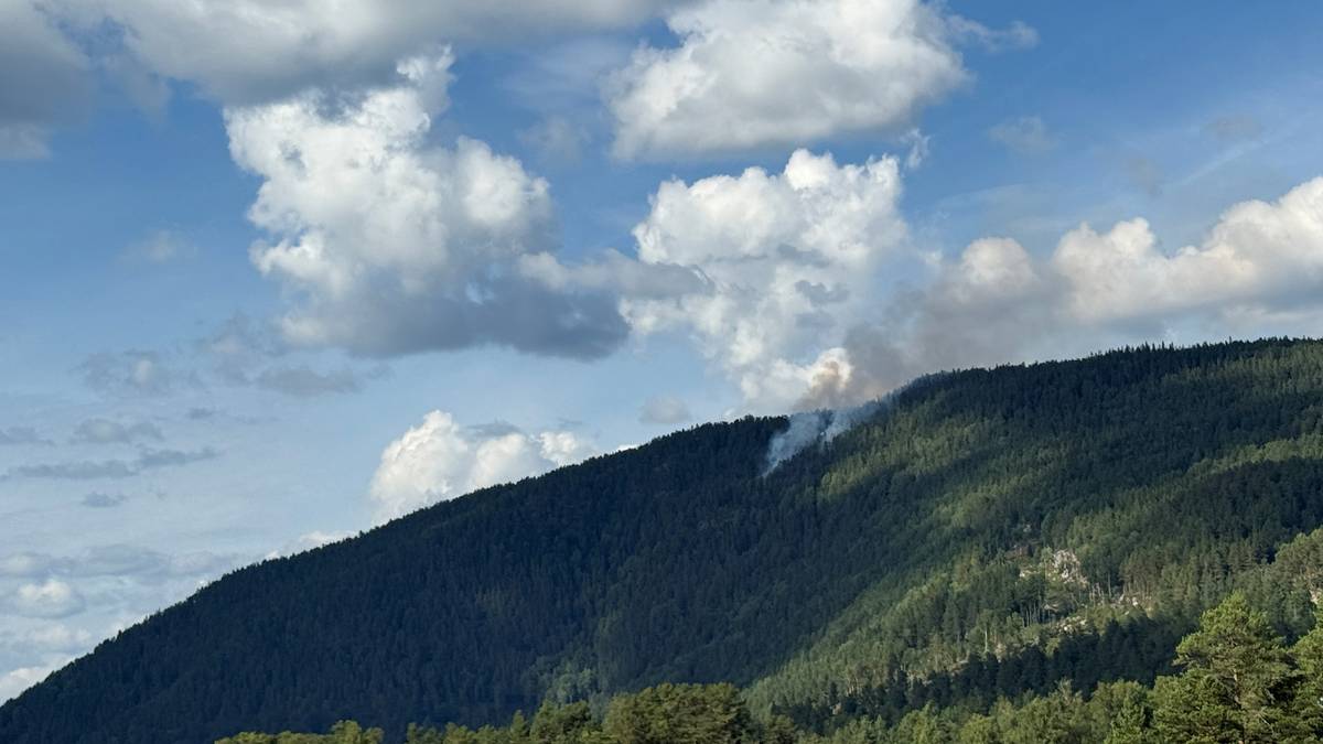 Brenner i terrenget langs riksvei 9