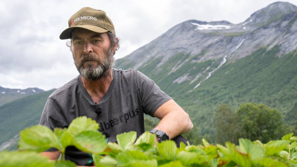 www.nrk.no