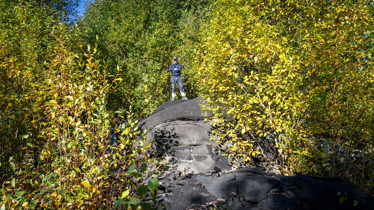 Har 70 tonn kunstgress i skogen – nå må de rydde opp