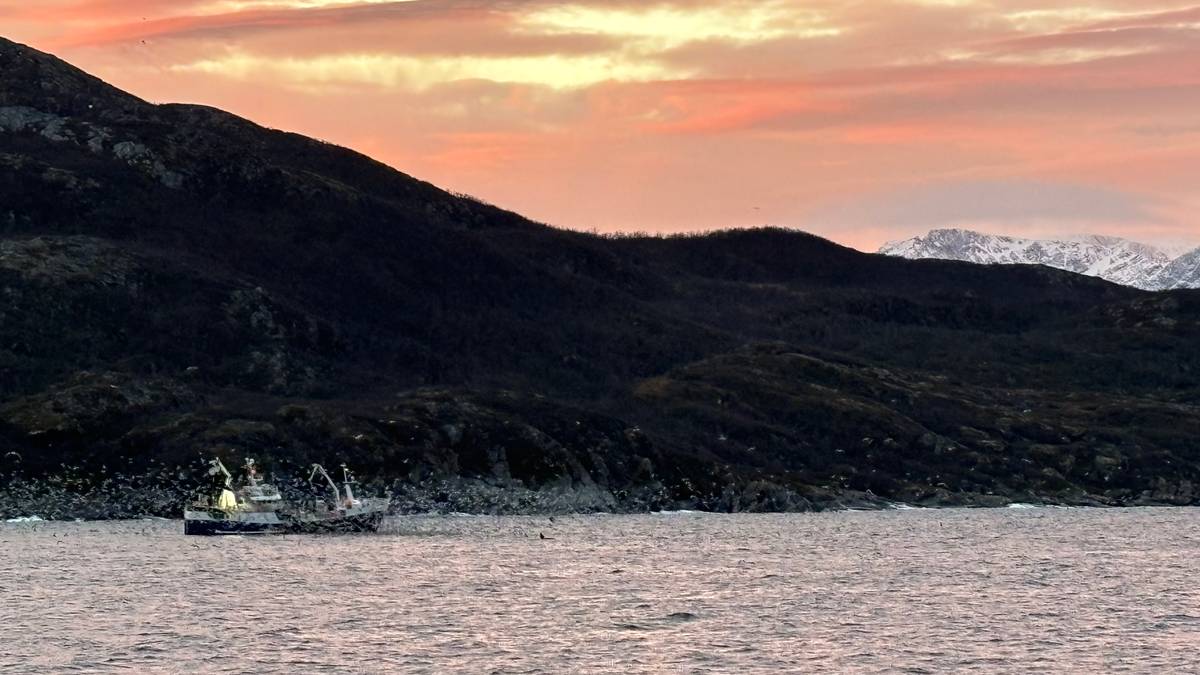 Ny lov skal skjerpe hav-vernet: – Dette er ein milepæl