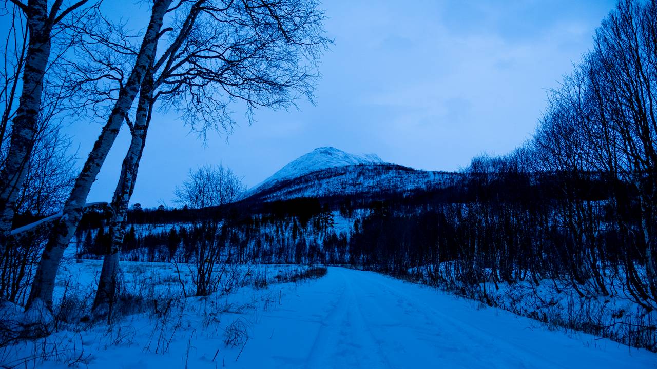 Tamokdalen i Balsfjord, desember 2020. Melkarfjellet i horisonten.