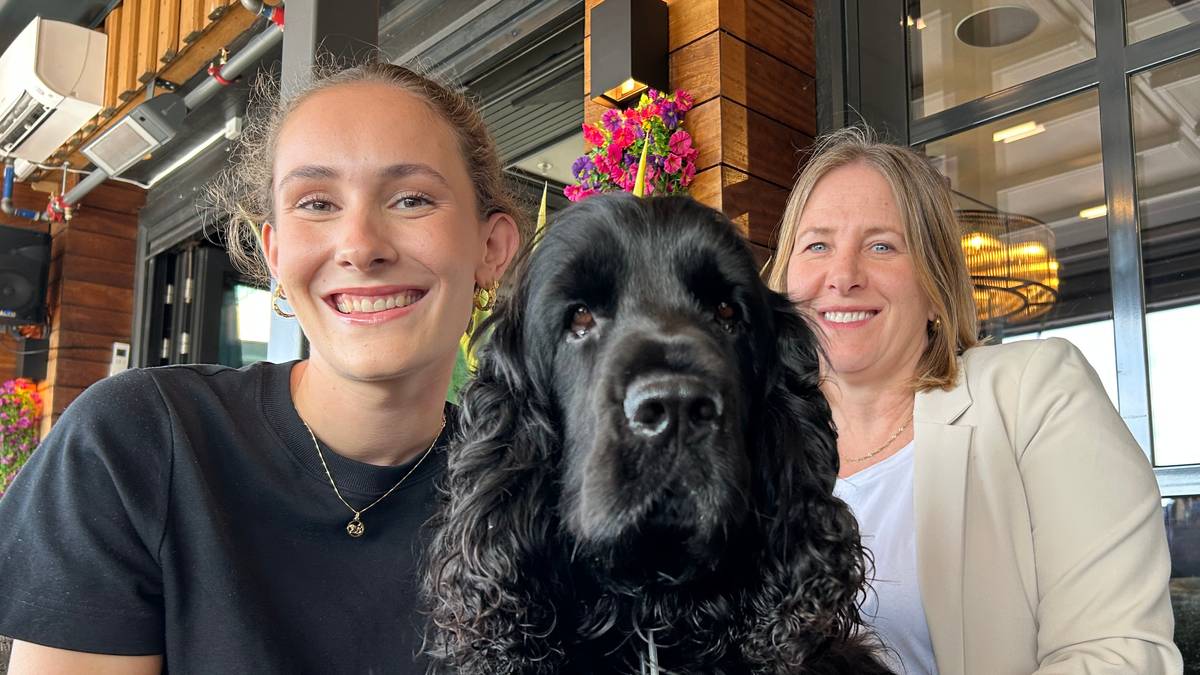 Flere tillater hund på restaurant: – Det ble en storm