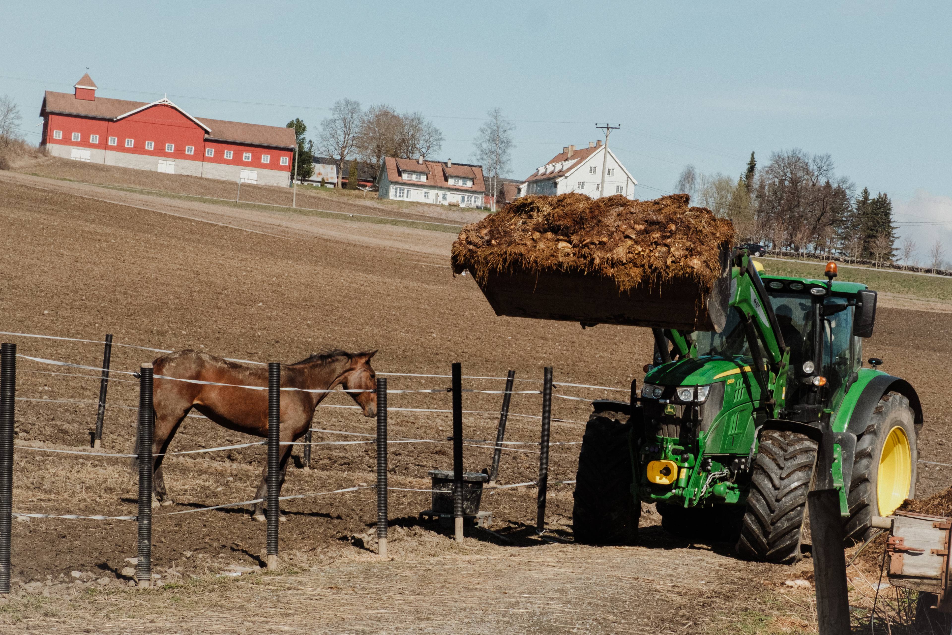 En traktor med møkk i skuffen kjører ved siden av en hest som står på et jorde
