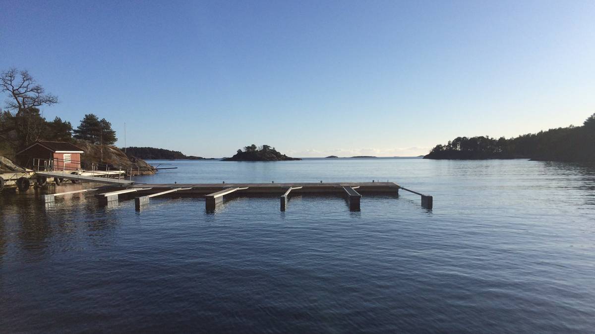 Rekordvarmt år i sjøen