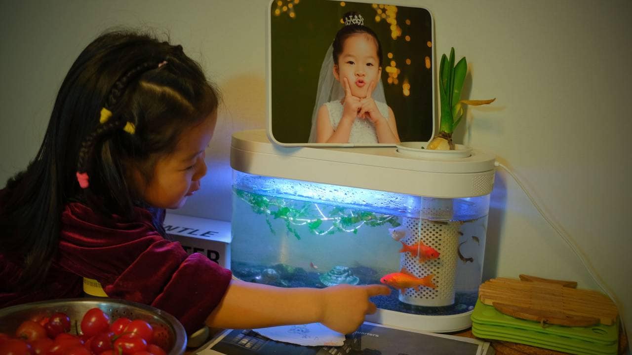 Xiaoxiao har gitt fiskane namn