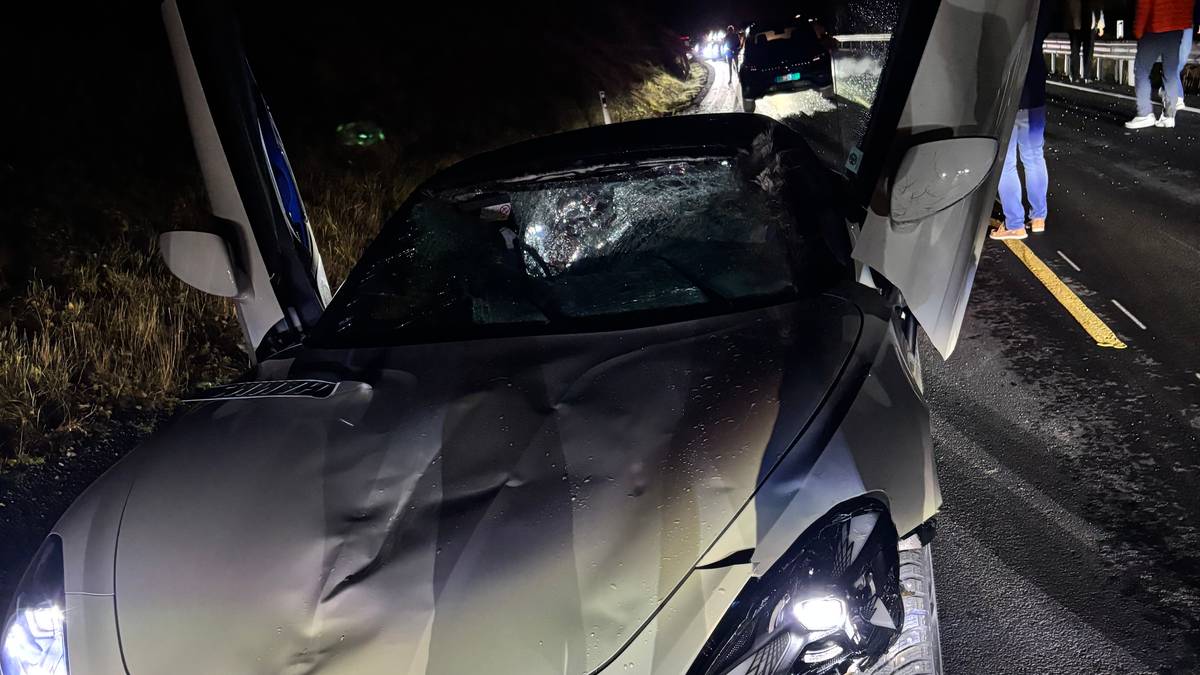 Krasjet i elg med ny sportsbil: – Kunne vært stein døde