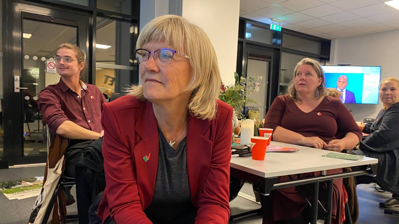 Karin Andersen, SV