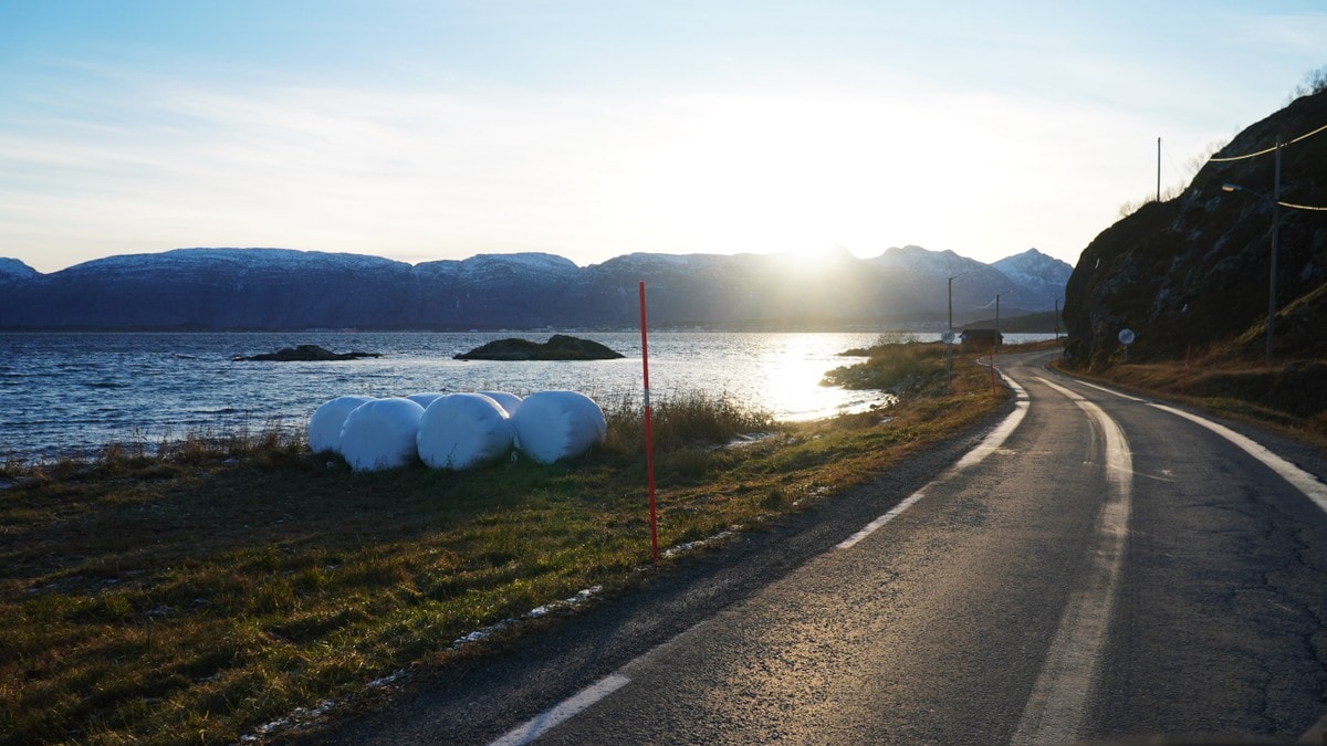 NAF: &ndash; Sterkt bekymret for tilstanden p&aring; fylkesveiene i Nordland
