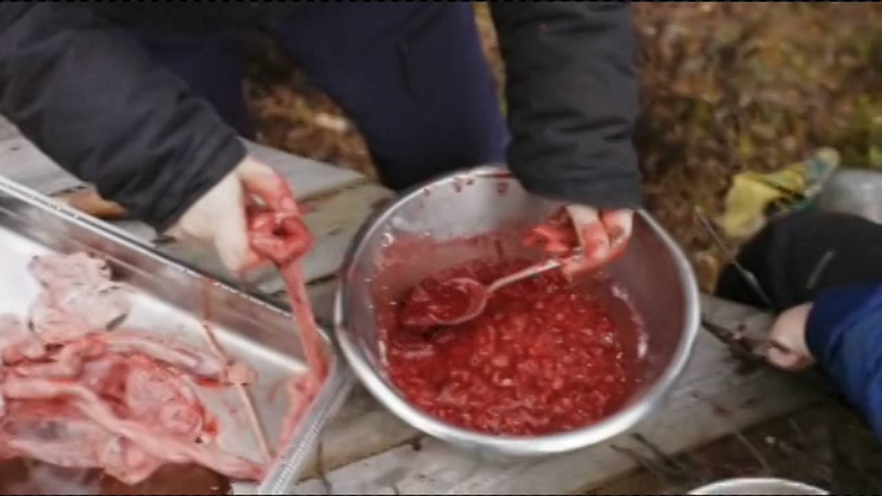 Maret Ravdna Buljo lager pølser av reinblod