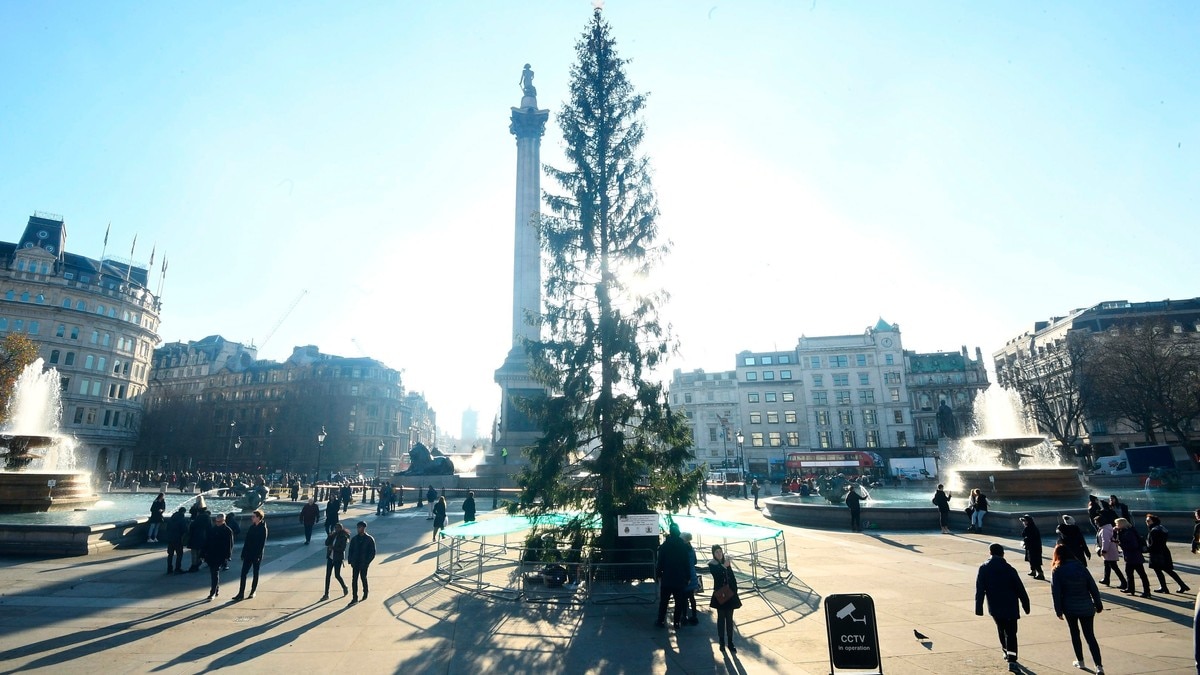 Norsk juletre i London får kritikk