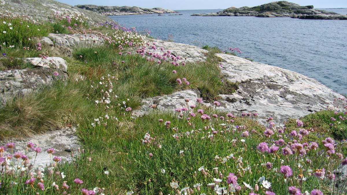 Prosjekter i Agder får støtte fra Riksantikvaren