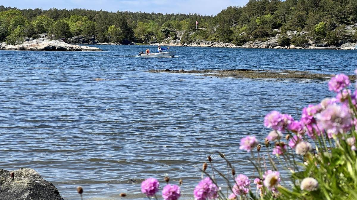 Ber om flere fartsskilt i Høvåg