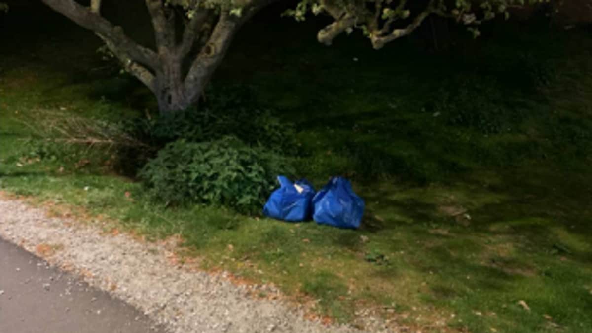 Tre nordmenn tiltalt for befatning med 1500 kilo kokain i Sverige