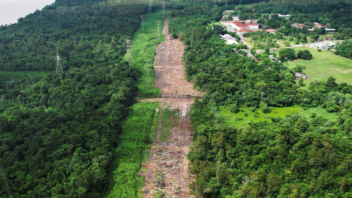 Brasil kuttet utslipp med 16,7 prosent i fjor