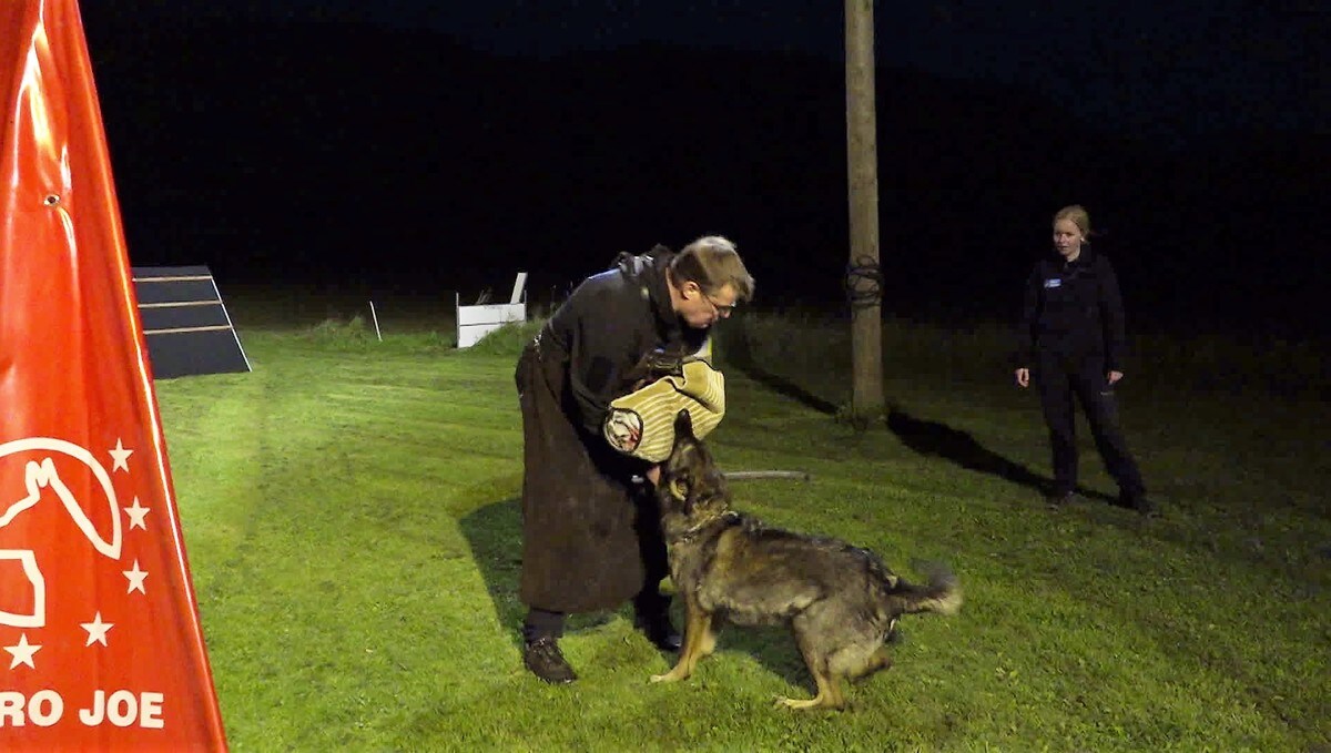 Hvordan Ta Vare På En Hunden Den Biter Except