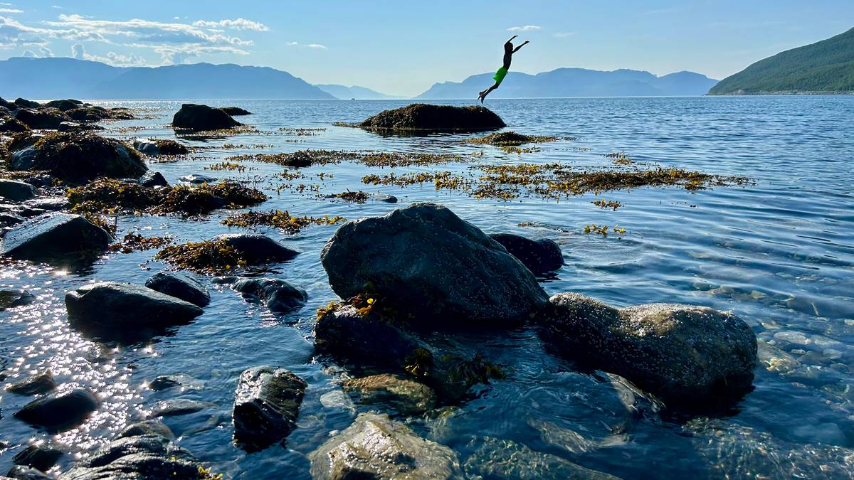 Forsker: – Sommeren i nord vil bli den nye normalen