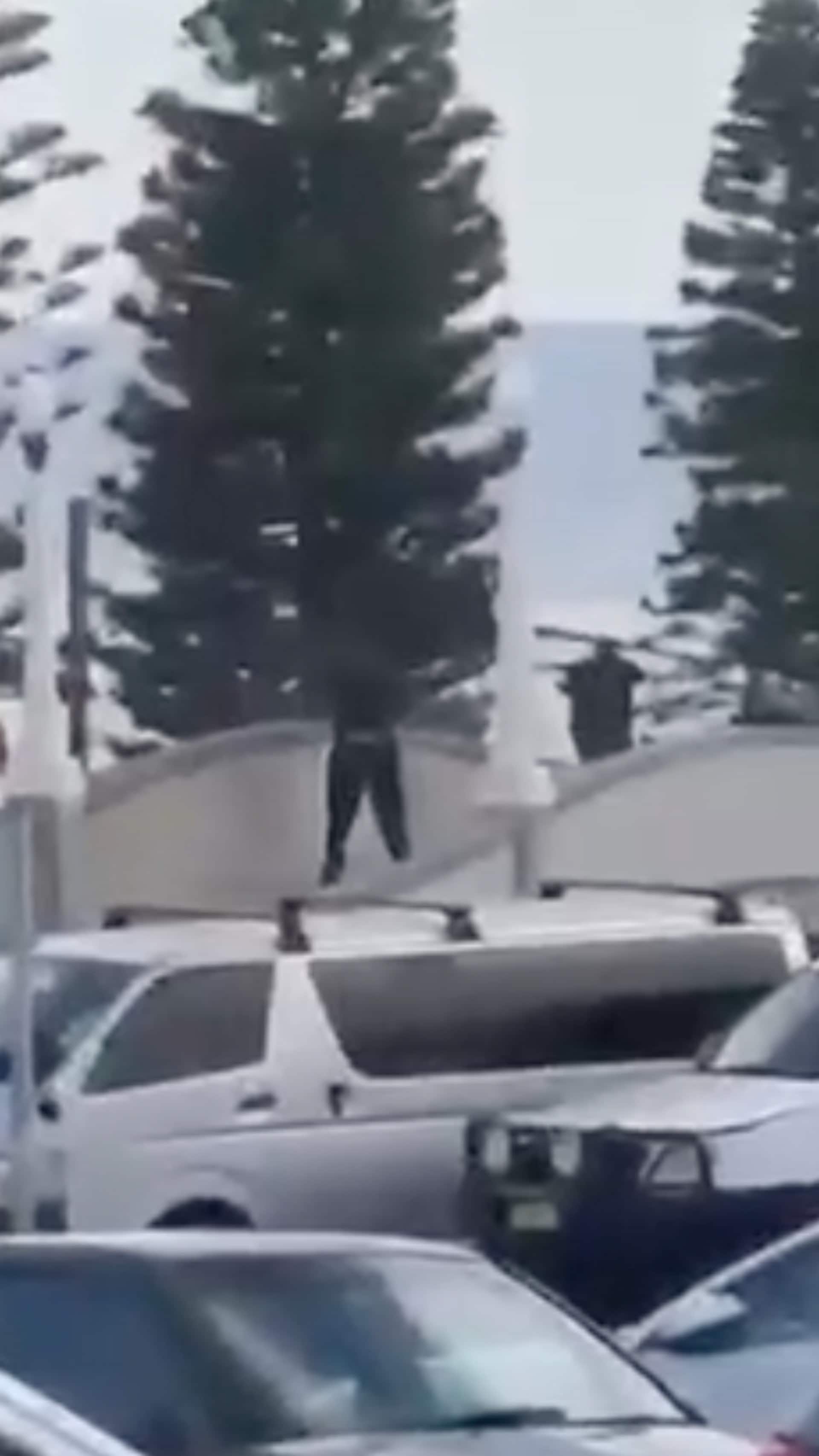 Norske Vilde (27) var tett på skudd-dramaet på Bondi: – Surrealistisk