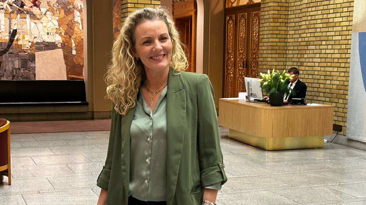 Senterpartiet støtter strømforslaget til Ap