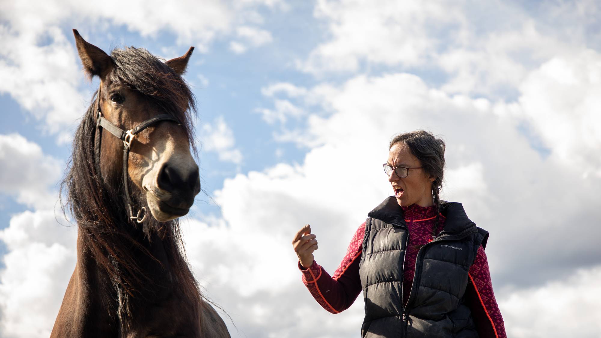 en person med en hest (Bildebeskrivelsen er laget av en KI-tjeneste)